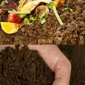 Enhancing Soil Fertility Through Composting: A Sustainable Approach