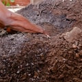 The Vital Role of Soil Fertility in Sustainable Agriculture
