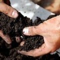 Understanding Soil Fertility and Its Improvement Techniques