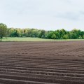 The Impact of Tillage Practices on Soil Fertility Improvement
