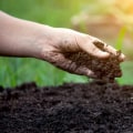 Understanding the Effects of Chemical Fertilizers on Soil Fertility Improvement