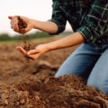 Effective Strategies for Enhancing Soil Fertility and Nutrient Management