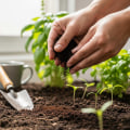 Boost Soil Fertility with Expert Tips from Portland's Top Garden Center