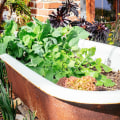 Natural Methods to Enhance Soil Fertility for Thriving Gardens