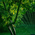 Enhance Your Landscape with Soil Fertility & Tree Care