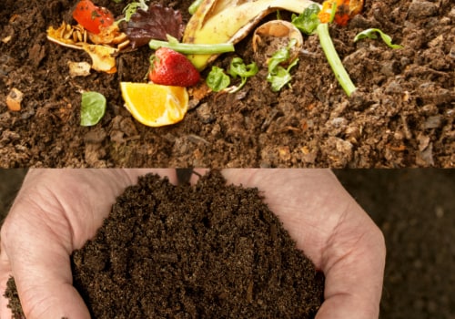 Enhancing Soil Fertility Through Composting: A Sustainable Approach