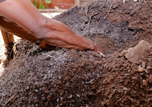 The Vital Role of Soil Fertility in Sustainable Agriculture