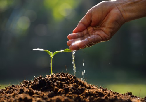 The Impact of Water Management on Soil Fertility Improvement