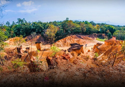 Understanding the Impact of Erosion on Soil Fertility and Improvement Strategies