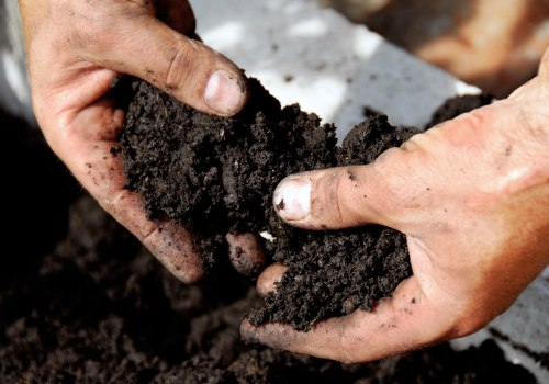 Effective Strategies for Enhancing Soil Fertility