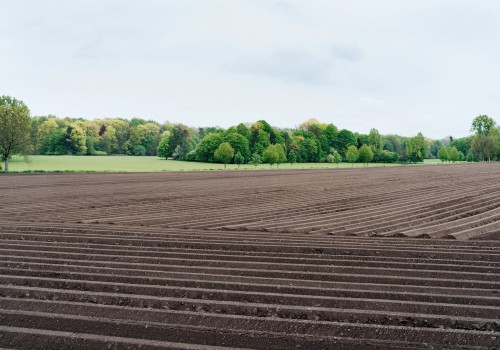The Impact of Tillage Practices on Soil Fertility Improvement