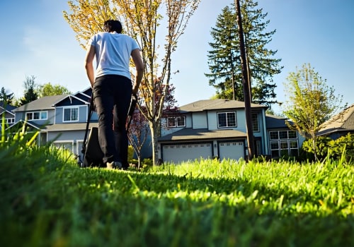 Enhance Tree Health with Expert Trimming in Norfolk