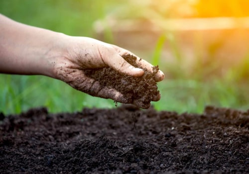 Understanding the Effects of Chemical Fertilizers on Soil Fertility Improvement