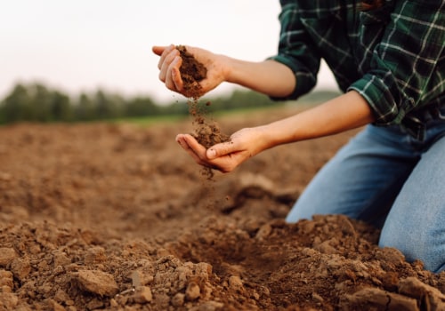 Effective Strategies for Enhancing Soil Fertility and Nutrient Management