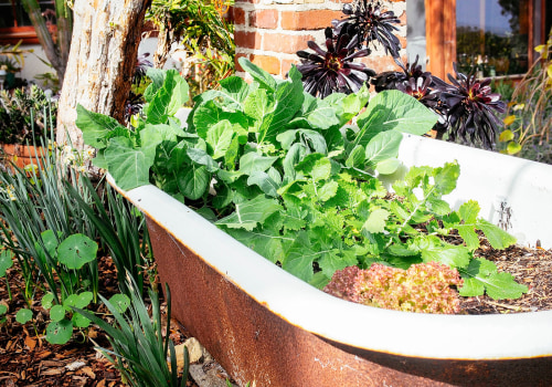Natural Methods to Enhance Soil Fertility for Thriving Gardens