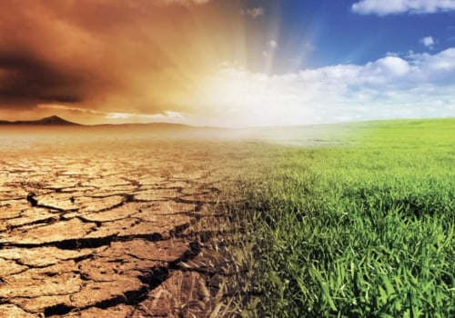 Understanding the Effects of Climate Change on Soil Fertility and Strategies for Improvement