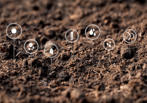 Exploring the Effects of Genetically Modified Crops on Soil Fertility Improvement