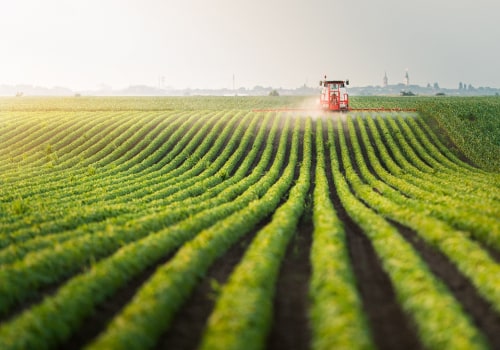 Understanding the Effects of Monoculture on Soil Fertility and Improvement Strategies