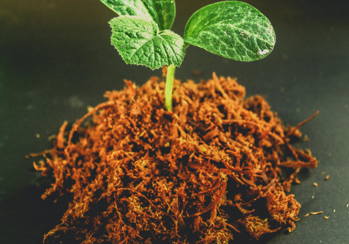 Understanding the Impact of pH Levels on Soil Fertility Improvement